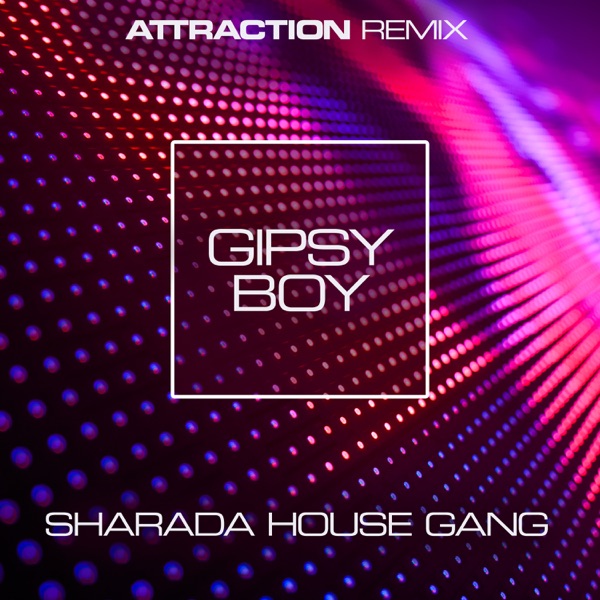 Gipsy Boy (Attraction Remix) - Single
