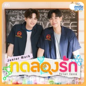 ทดลองรัก (Trial love) [เพลงประกอบซีรีส์ สายรหัสเทวดา Perfect 10 Liners] artwork