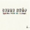 De Goudvis - Senne Guns lyrics
