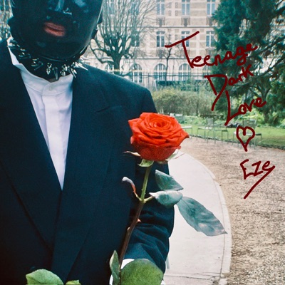 Teenage Dark Love - Single