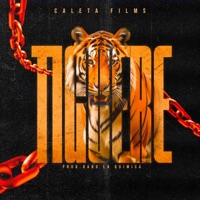 Tiguere - Single - Caleta films
