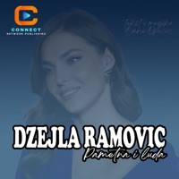 Pametna i luda - Single - Dzejla Ramovic