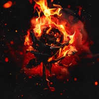 До тла - Single - Wendesto