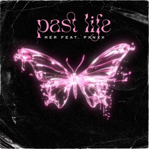 Past Life (feat. Pxnxk)