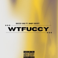 WTFUCCKY (feat. Baby Egypt) - Single - SiccoVae