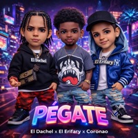Pegate - Single - El Dachel, El erifary & Coronao