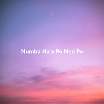 Numba Ha x Poo Nee Poo (feat. Kusalvin Dabare) [Mashup] - Single