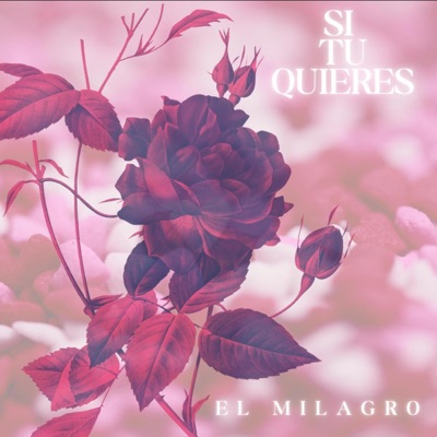 Si tu quieres - Single
