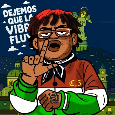 DEJEMOS QUE LA VIBRA FLUYA - Single