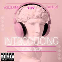 Introducing - TerraBaby