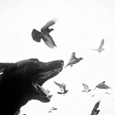 GENERATIONITM01 - Single