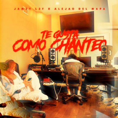 Te Gusta como Chanteo (feat. Alejao del Mapa & G en el Beat) - Single