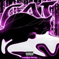 CAT (feat. zxx.1xx) - Single - fvlcxn