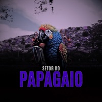 Setor do Papagaio - Single - MC 7 Rei & Dj Jeffinho Thug