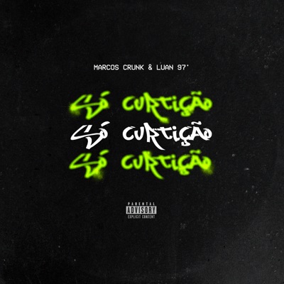 Só Curtição - Single