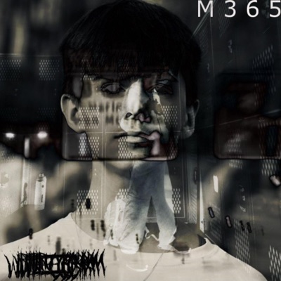 M365 - Single