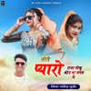 Tote Pyaro Raja Moku Kou Na Jagat Me - Single