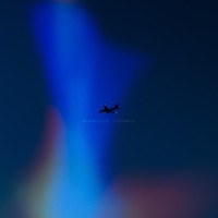 Что за безобразие - Single - MARCUS TENSHI