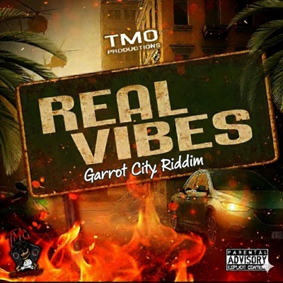 Real Vibes (feat. Pipa Lyrically Musically, ReeZP & 23 Style Dem) - Single