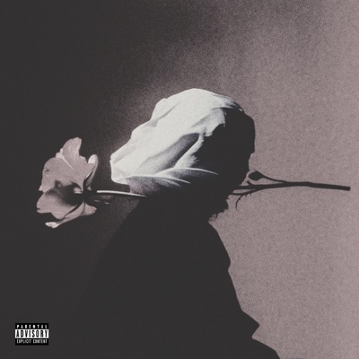 What A Nice Surprise (Lost tapes 2021) - Single