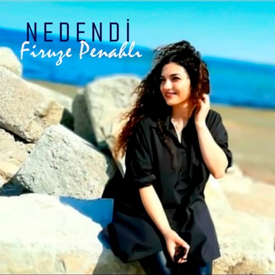 Nedendi