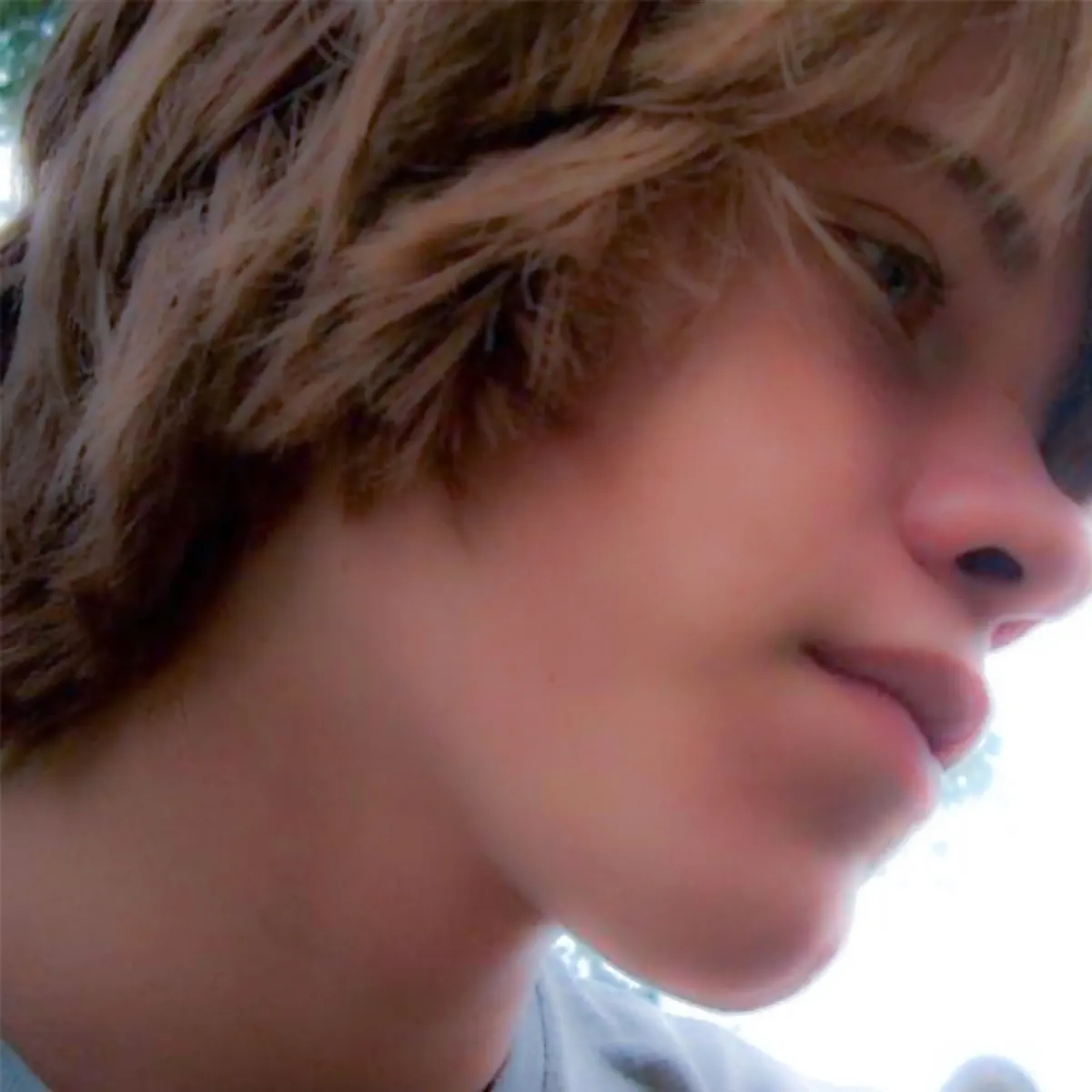 Porches – Shirt (2024) [iTunes Plus AAC M4A]-新房子