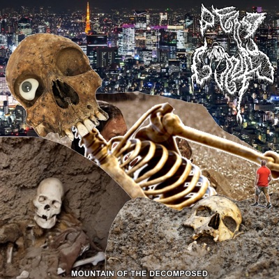 Mountain of The Decomposed - Single