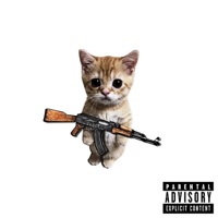 whydoifeellikedying (feat. BOYARDEE) - Single - DOPEBOII