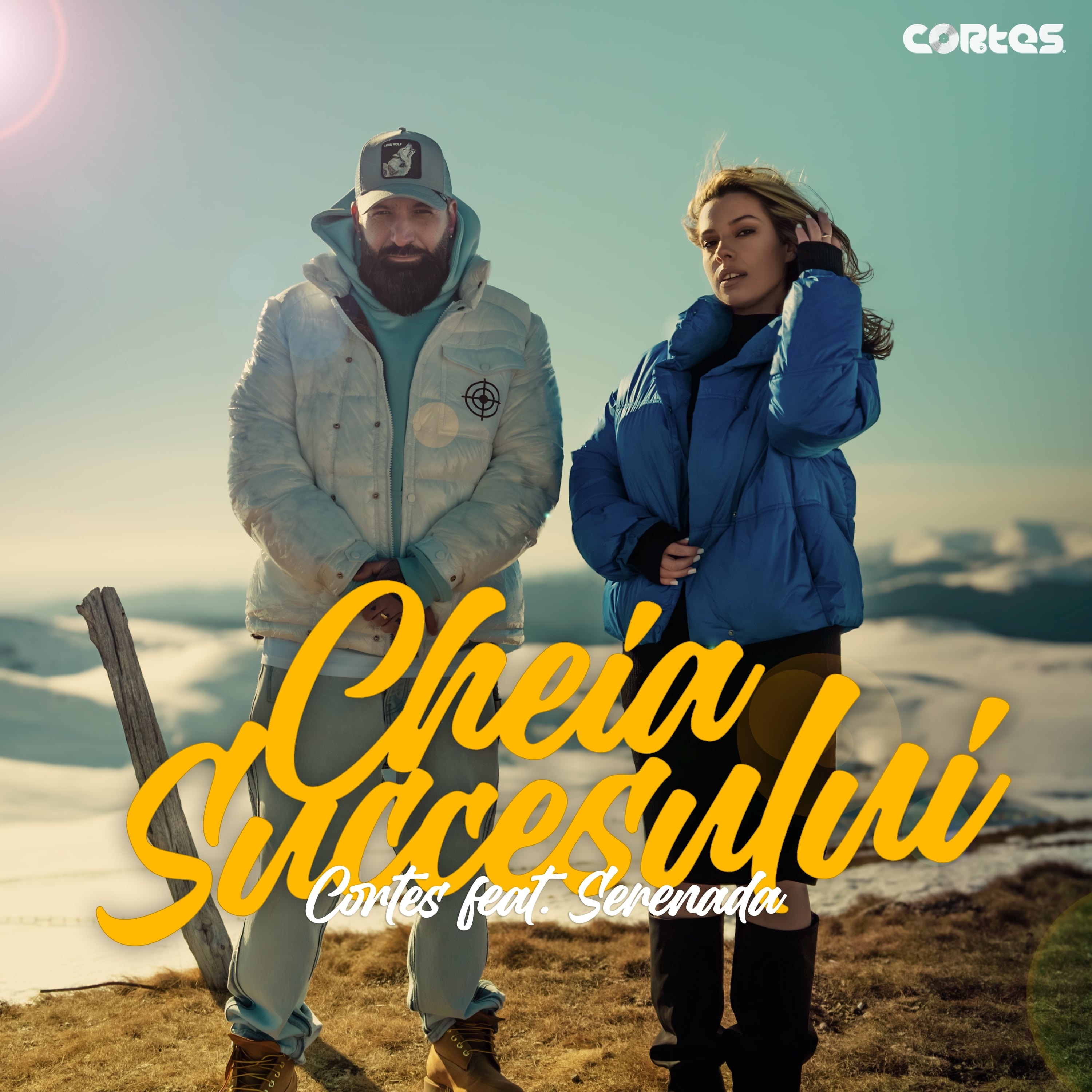 Cheia succesului - Single