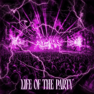Life Of The Party
