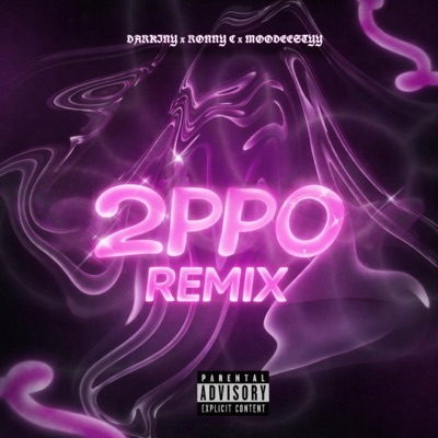 2PPO (feat. Ronny C & Moodeesstyy) [Remix] - Single