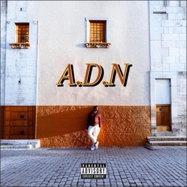 COMPANY (feat. Tanya & Sb7) P.I.T Oficiall