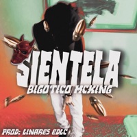 SIENTELA - Single - Bigotico McKing
