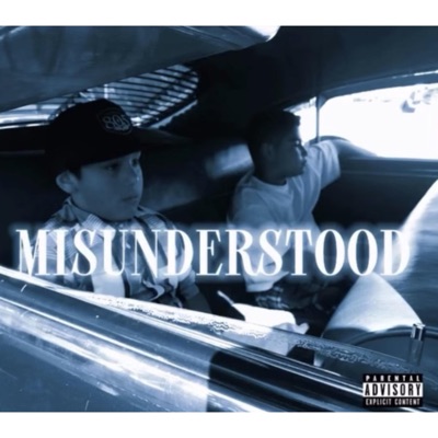 Misunderstood - Single