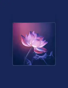 Listen to 五音疗愈养生音乐, watch music videos, read bio, see tour dates & more!