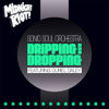 Sonic Soul Orchestra - Dripping and Dropping (feat. Duriel Daley) [Radio Mix] artwork