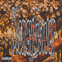 Money Grower - Single - YD333