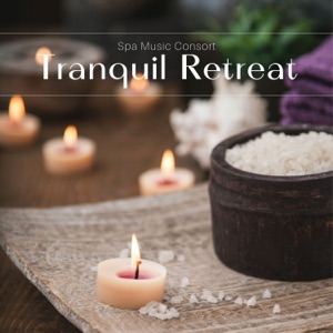 Tranquil Retreat: Calming Spa Music