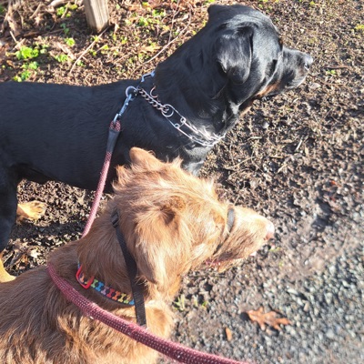 Treat You Good - Single