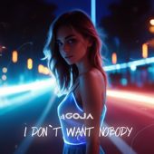 I Don't Want Nobody song art