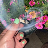 Fucksh!T (13:33) - Single - numbmoi