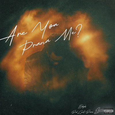 Are You Prana Me? - Single