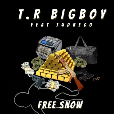 Free snow (feat. 74Dreco) - Single