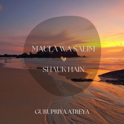 Mash up (Maula Wa Salim & Shauk Hain) - Single