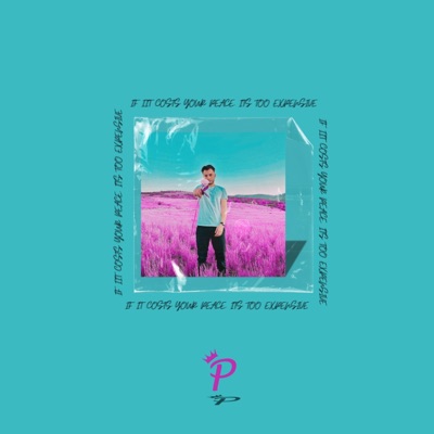 if it costs your peace its too expensive - Single