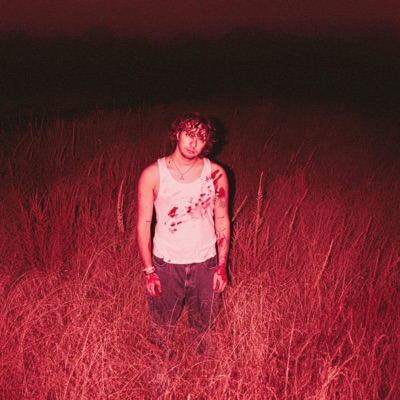 i don't have friends anymore - Single