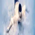 Nonostante Tutto E Tutti