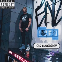 Sad Blueberry - Single - Johnny Merk