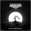 Shallow Retrospection - No Sea Can Tear Us Apart