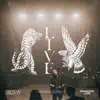 Brandon Lake - Gratitude (Live)